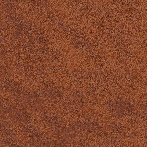Кафява кожа / 2001920